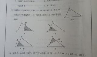 保定市中考怎么查分